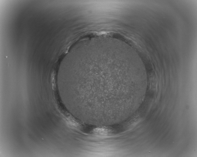 X0000070410699200606121330