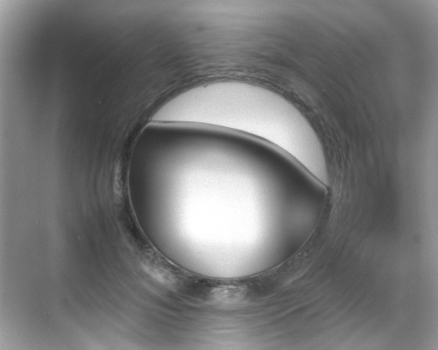 X0000070410700200606121330