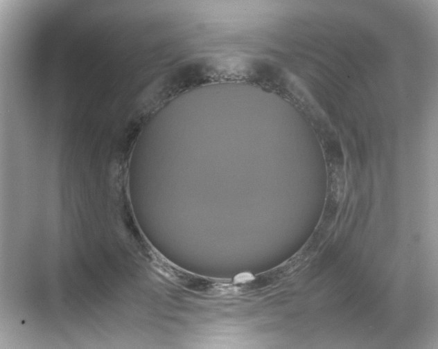 X0000070410701200606121330