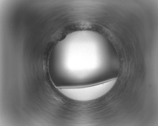 X0000070410704200606121330