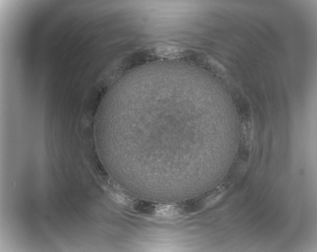 X0000070410705200606121330