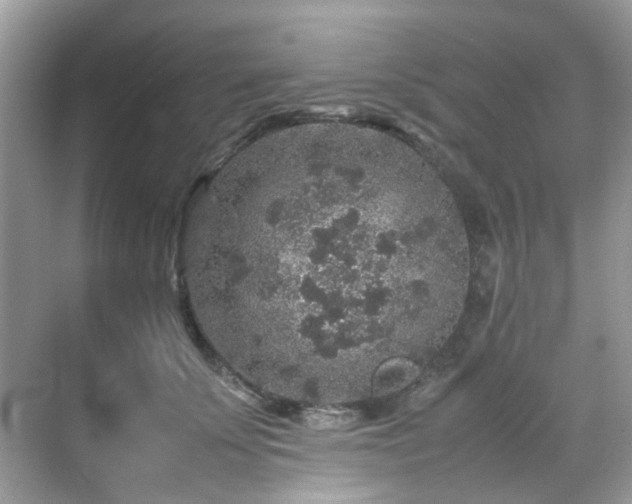 X0000070410707200606121330