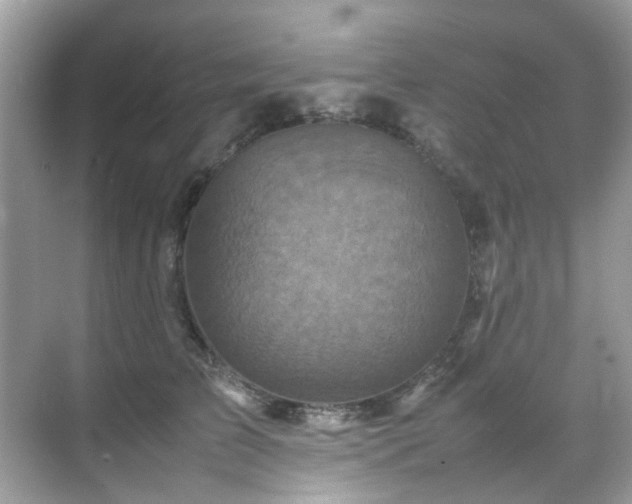 X0000070410709200606121330