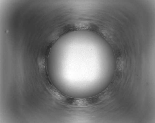 X0000070410713200606121330