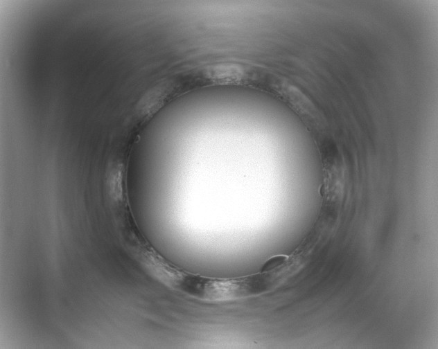 X0000070410717200606121330