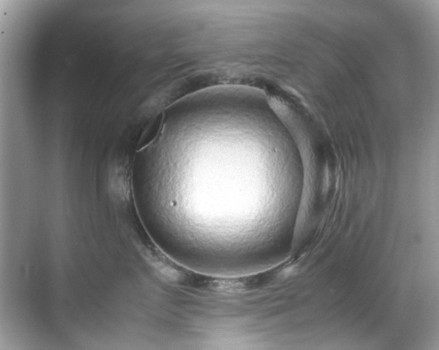 X0000070410719200606121330