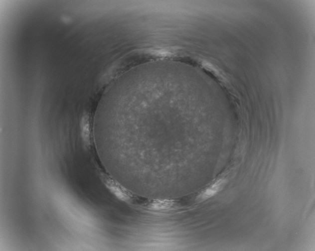 X0000070410720200606121330