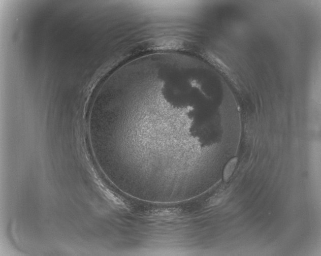 X0000070410721200606121329