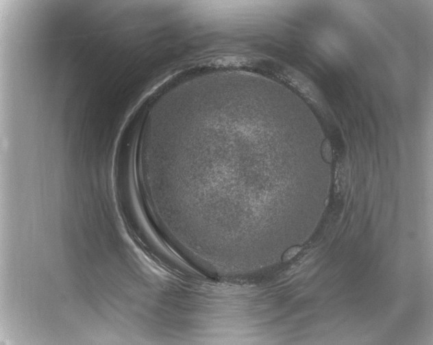 X0000070410722200606121329