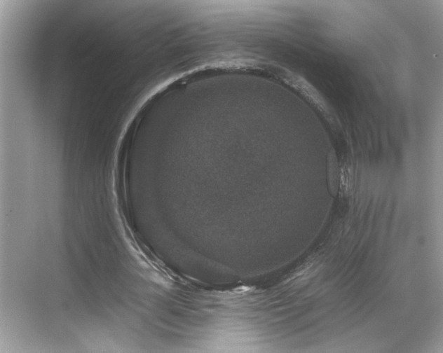 X0000070410724200606121329