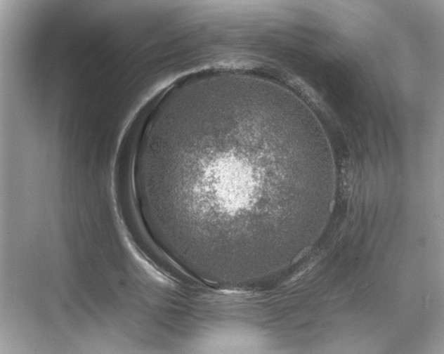 X0000070410726200606121329