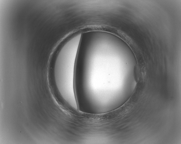 X0000070410728200606121329