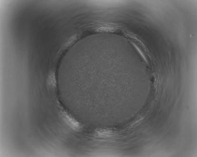 X0000070410729200606121329