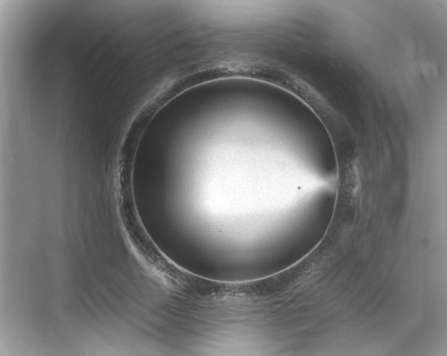 X0000070410730200606121329