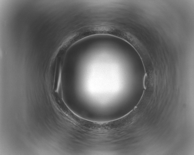 X0000070410731200606121329