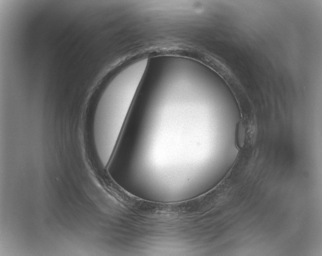 X0000070410732200606121329