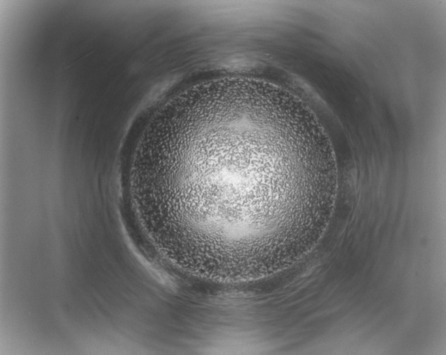 X0000070410734200606121329