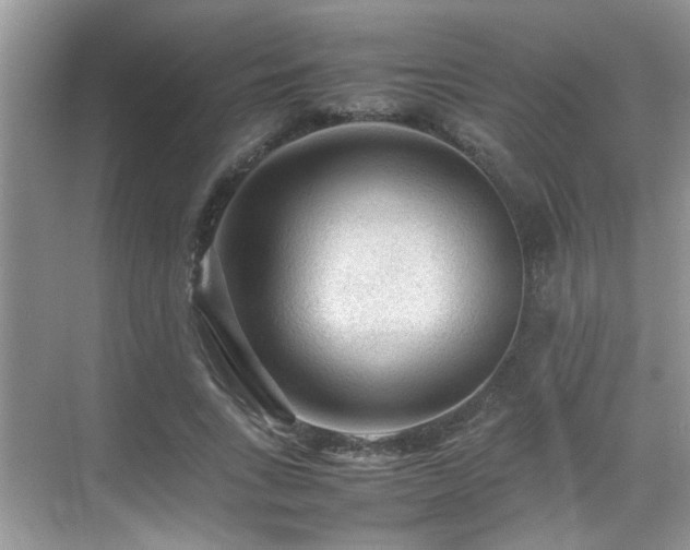 X0000070410735200606121329