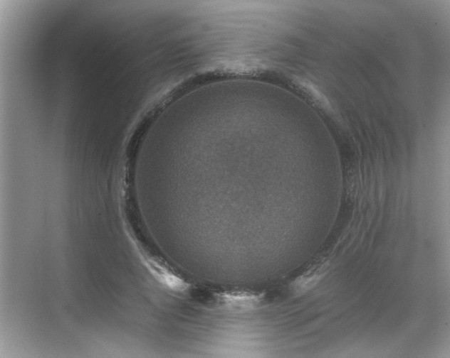 X0000070410736200606121329