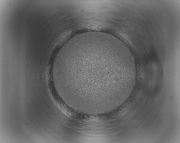 X0000070410738200606121329