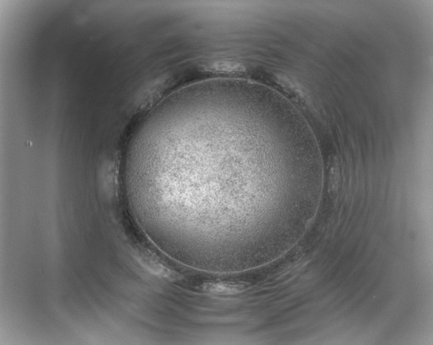 X0000070410739200606121329