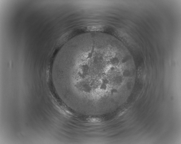 X0000070410741200606121329