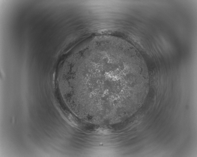 X0000070410742200606121329