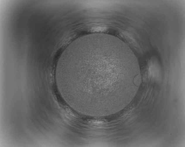 X0000070410743200606121329