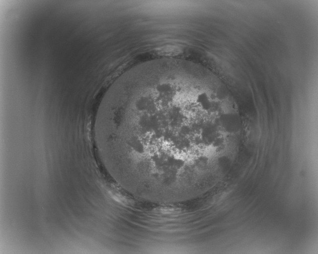 X0000070410745200606121329