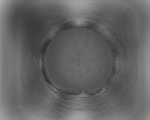 X0000070410746200606121329