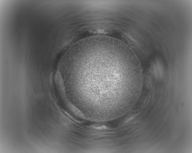 X0000070410747200606121329