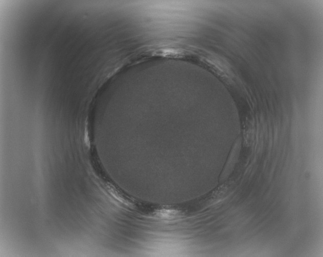 X0000070410748200606121329