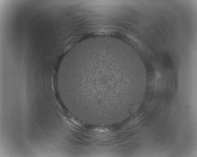 X0000070410749200606121329