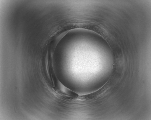 X0000070410750200606121329