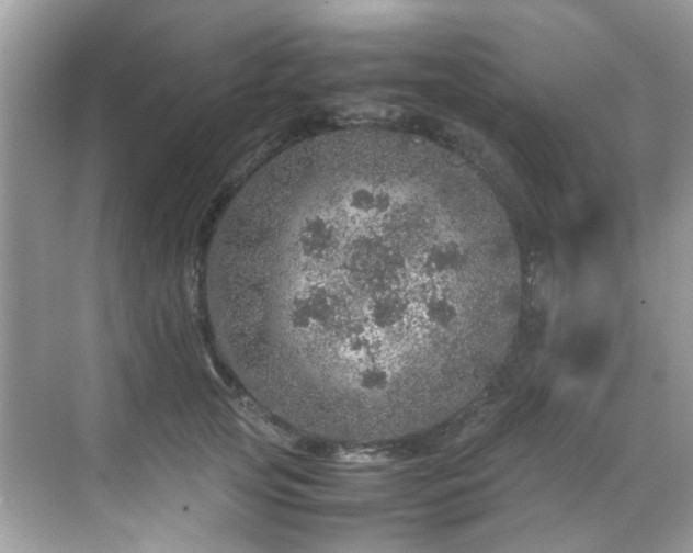 X0000070410753200606121329