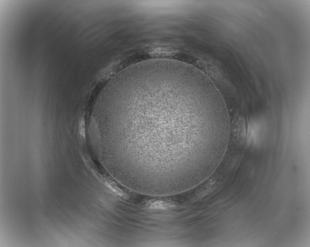 X0000070410755200606121329