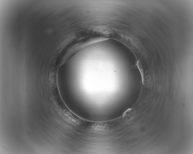 X0000070410756200606121329