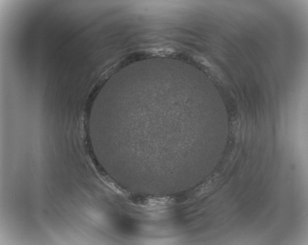 X0000070410757200606121329