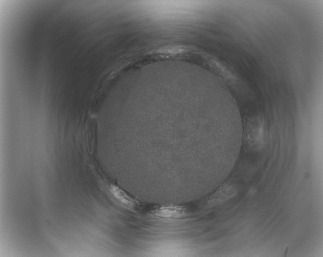 X0000070410758200606121329