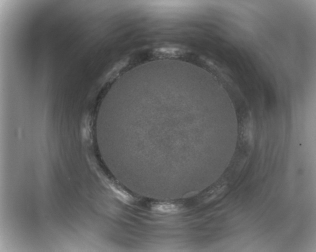 X0000070410759200606121329