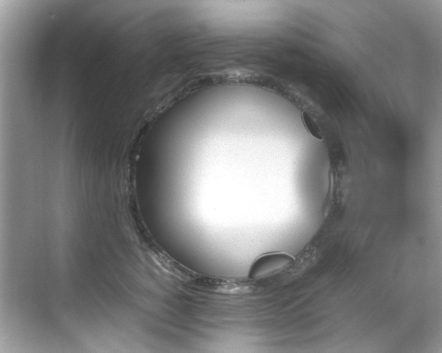 X0000070410760200606121330