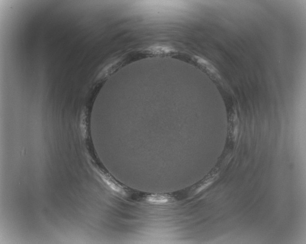 X0000070410762200606121330