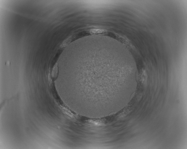 X0000070410763200606121330