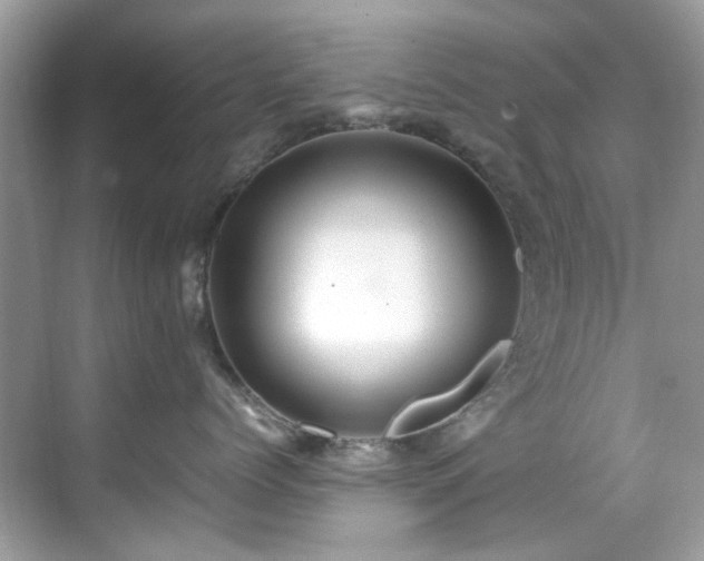 X0000070410768200606121330