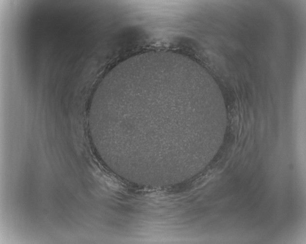 X0000070410769200606121329