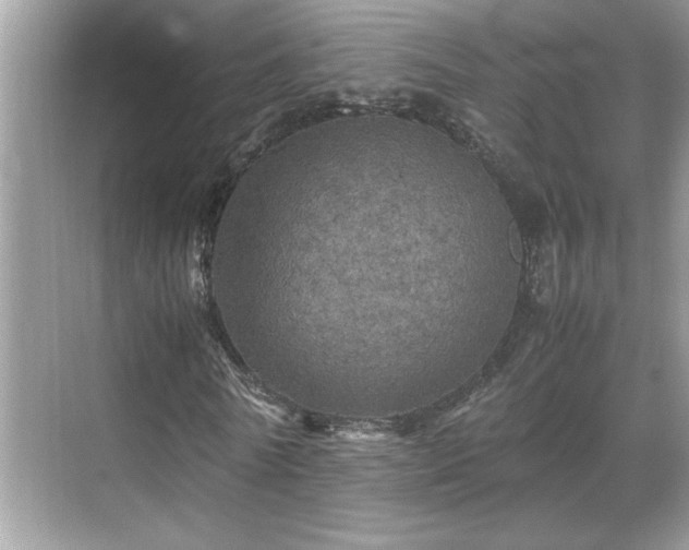 X0000070410770200606121329