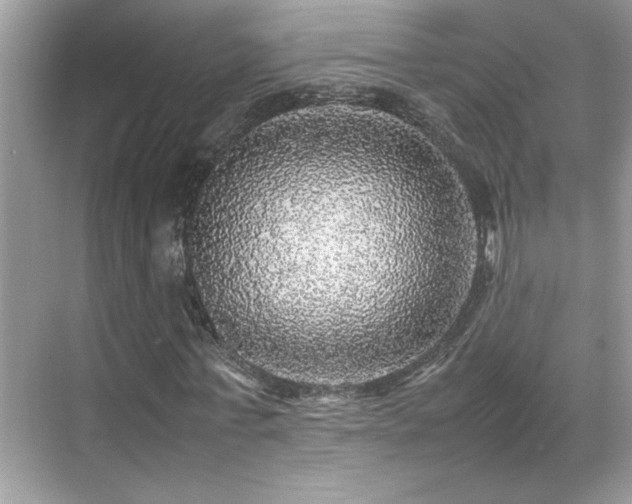 X0000070410771200606121329