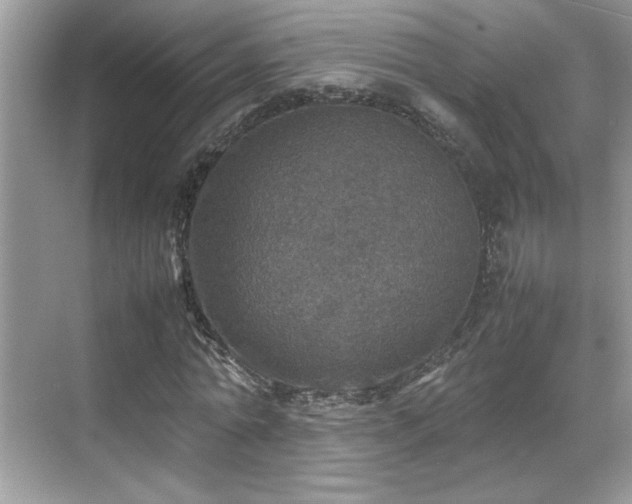 X0000070410774200606121329