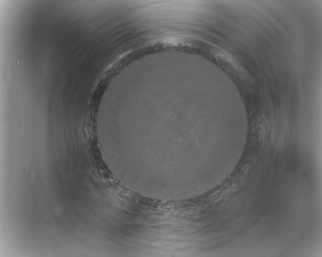 X0000070410776200606121329