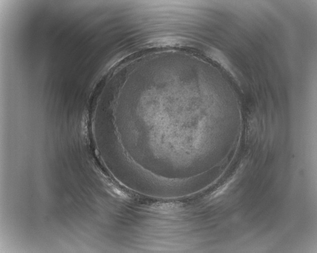 X0000070410778200606121329